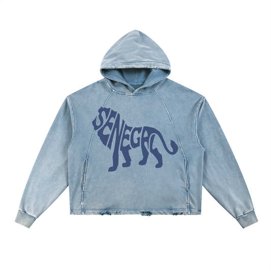 Vintage Washed Frayed-Hem Hoodie